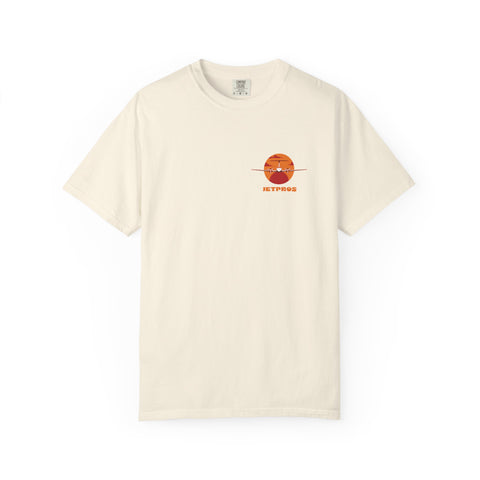 Aviation tee beige tee with a graphic design of a King Air plane flying over a canyon landscape background